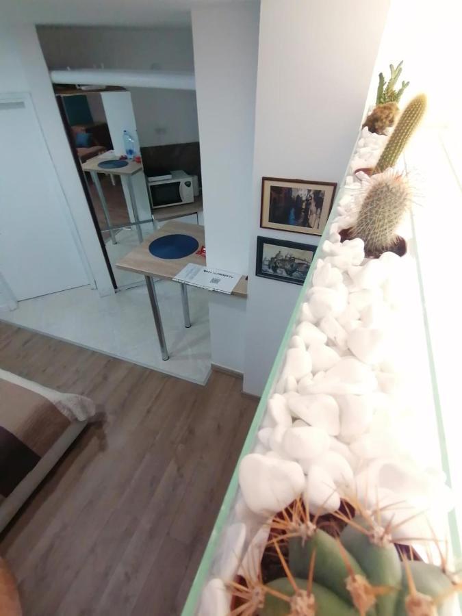 Apartman Dunja S Belgrad Exterior foto